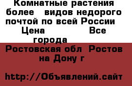 Комнатные растения более200видов недорого почтой по всей России › Цена ­ 100-500 - Все города  »    . Ростовская обл.,Ростов-на-Дону г.